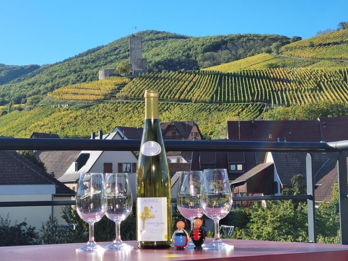 Gites Les Terrasses Du Wineck Katzenthal Exterior photo