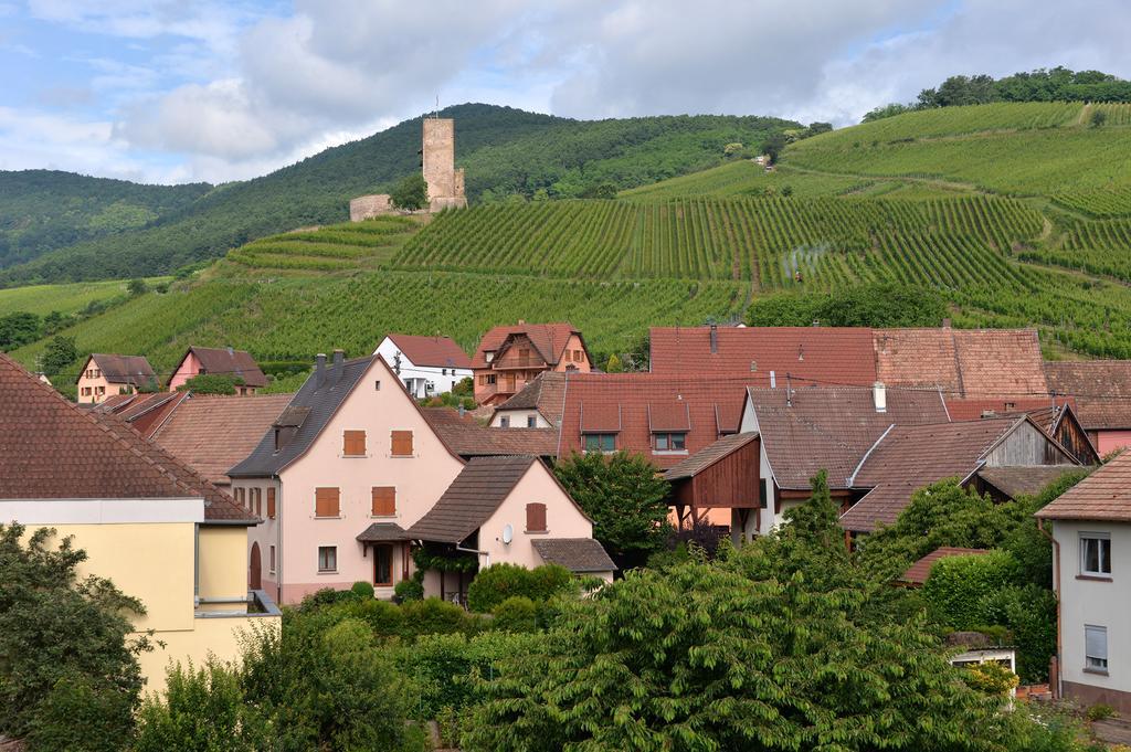 Gites Les Terrasses Du Wineck Katzenthal Exterior photo
